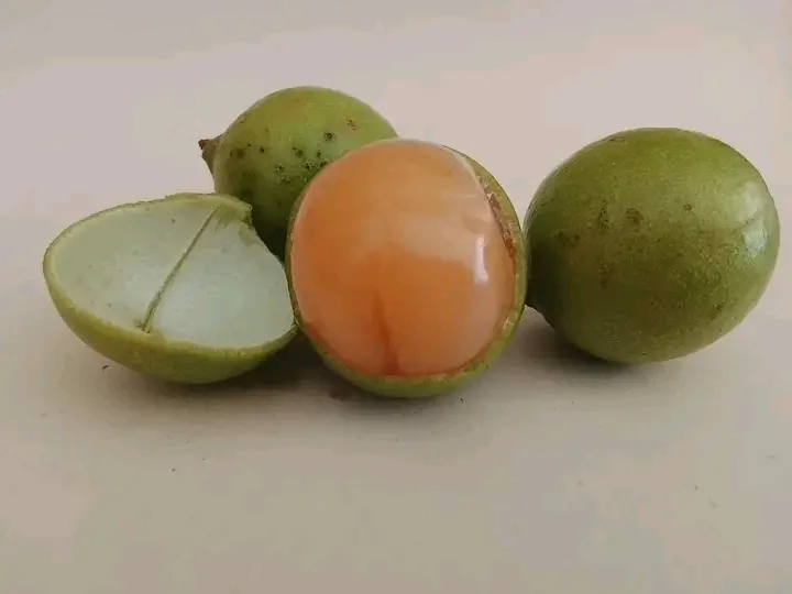 Three green-skinned fruits, one of them split open to show its orange flesh