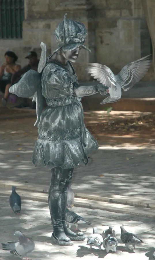 Une statue vivante argentée, avec des ailes, reçoit un pigeon sur le bras tandis que d'autres picorent à ses pieds